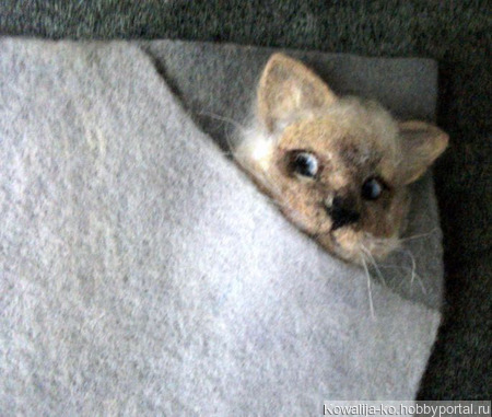 ������������ ��������� ������� "������" ������ ������ �� �����