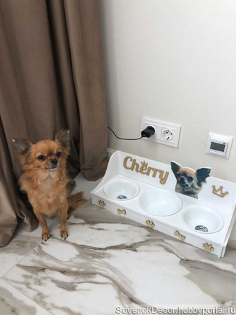 ��������� ��� ��� � ���� �� 3 ����� � ��������� ������ ������ �� �����