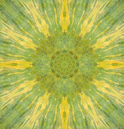 ������ � �����: ������ ������� ������ ������ �� �����