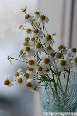 ����� ������� ������ ������ �� �����