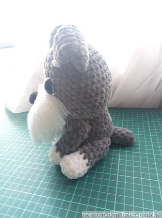 ����� ����� ������ ������ �� �����