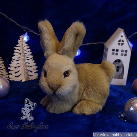 ������ ������ ������ �� �����