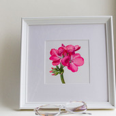 Картина миниатюра акварелью с цветками герани