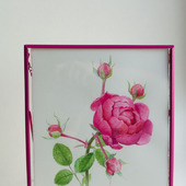 Картина акварелью с розовой розой в розовой рамке