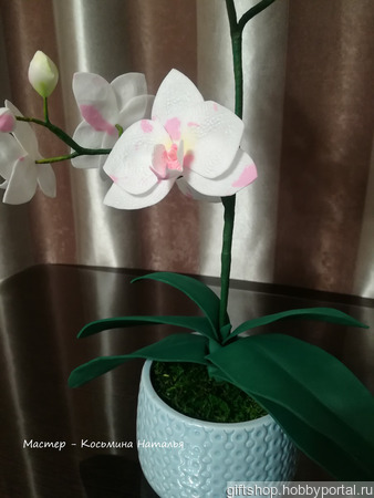 �������� ������� ������ ������ �� �����