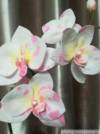 �������� ������� ������ ������ �� �����