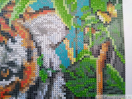 ����� ��� ��������� ������� �������� �������� ������ ������ �� �����