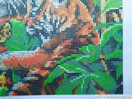 ����� ��� ��������� ������� �������� �������� ������ ������ �� �����