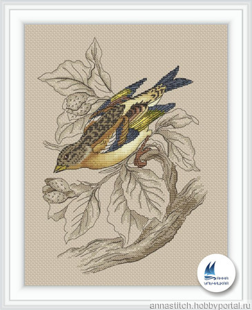 ����� ��� ������� ������� "������ ������" ������ ������ �� �����