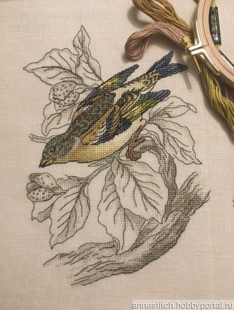 ����� ��� ������� ������� "������ ������" ������ ������ �� �����