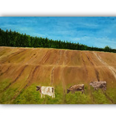 Картина поле маслом " На лугу в Мураново", холст
