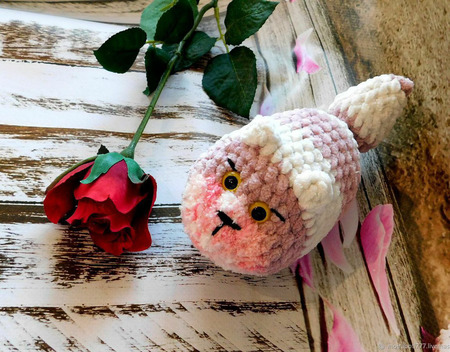 ������ �������: ���-������� �������� � ������-������� ������ ������ �� �����
