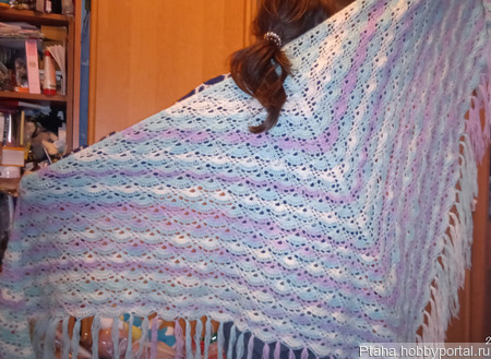 ���� ������ ������ �� �����