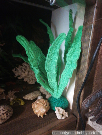 ��������� ��� �������� ��������� ������ ������ �� �����