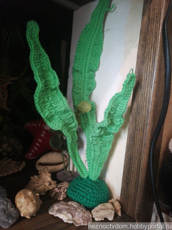 ��������� ��� �������� ��������� ������ ������ �� �����