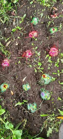 ����� �������� �������� ������ ������ �� �����