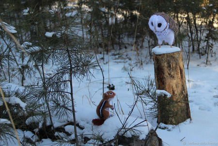 ������ �������: ���� ������ ������ �� �����