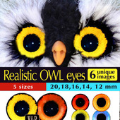 :       (owl eyes)