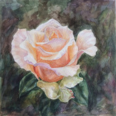 Картина акварель "Роза"