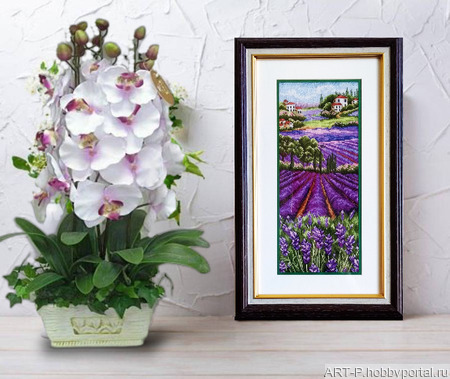 ������� ������� ���������� ���� � �������� ���� ������ ������ �� �����