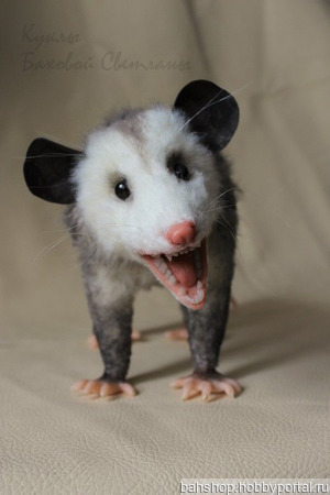 �������� ������� ������ ������ �� �����