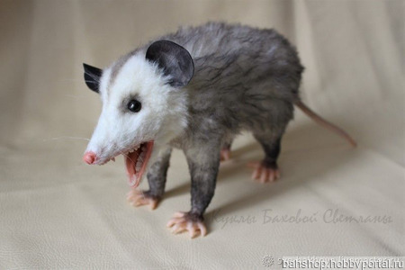 �������� ������� ������ ������ �� �����