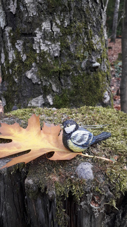 ������� ���������� ������� ������� ������ ������ ������ ������ �� �����