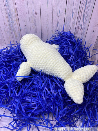 ����� ����� ������ ������ �� �����