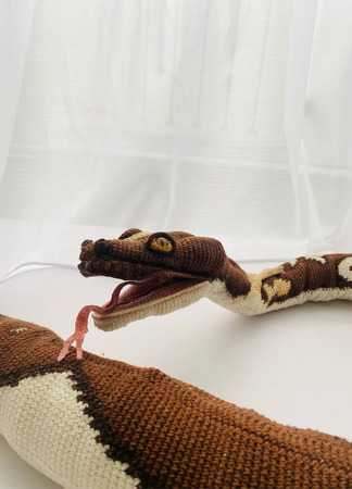 ����� ������ ������ �� �����