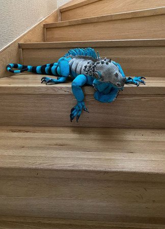 ������ ������ ������ �� �����