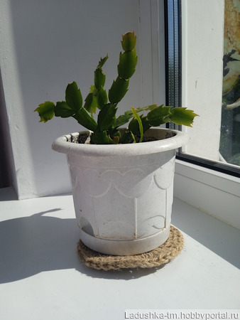 ��������� �������� ��������� ��� ������� (12 ��) ������ ������ �� �����