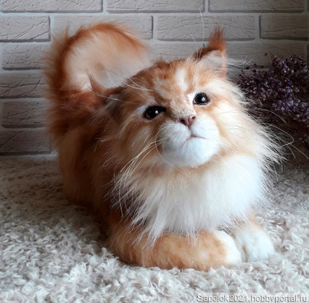 ������������ ����� ��� ������ ������ �� �����