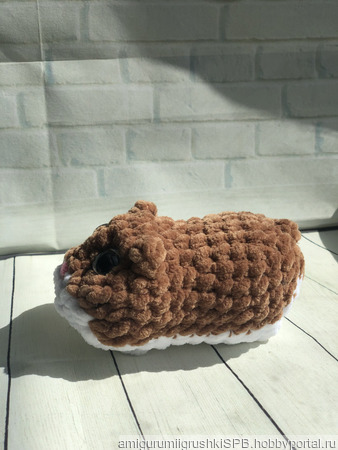 ����� ������� ������ ������ �� �����