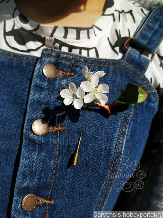 ����� ������� ����� ������ ������ �� �����