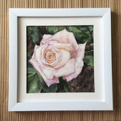 ����: ������� ������