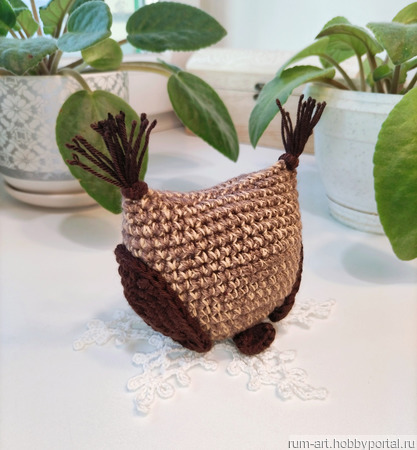 ������� ���������� ������� ������ ������� ������ ������ �� �����