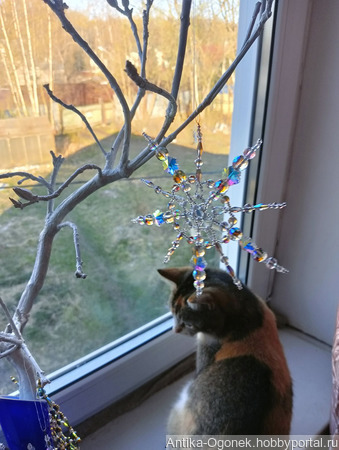 �������� ������ ������ ������ �� �����