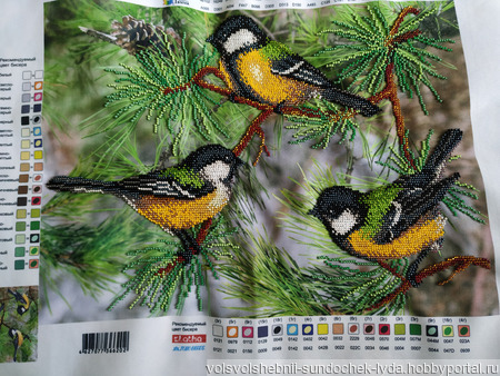 ������� "������� �������" ������ ������ �� �����