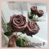 ���� �������