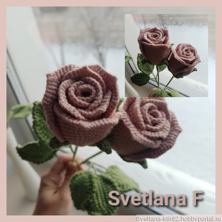 ���� ������� ������ ������ �� �����