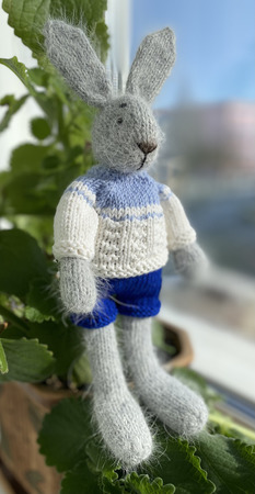 ���� ������ ������ �� �����